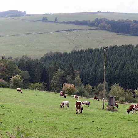 Lägenhet Studio Eifel Feuerscheid